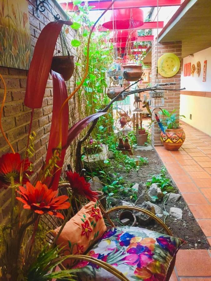 Hotel Costa Azul Cassaffousth Εξωτερικό φωτογραφία